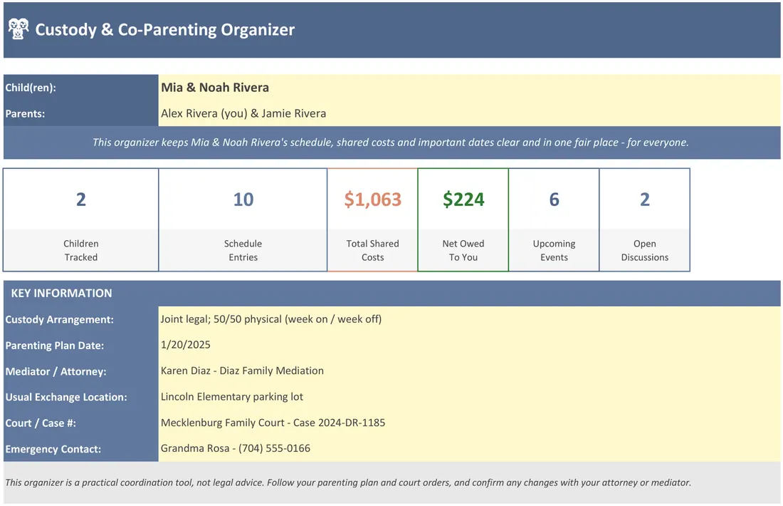 Custody & Co-Parenting Organizer — the workbook open in Excel