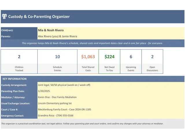 Custody & Co-Parenting Organizer preview