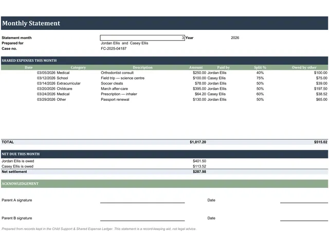 Child Support and Shared Expense Ledger preview