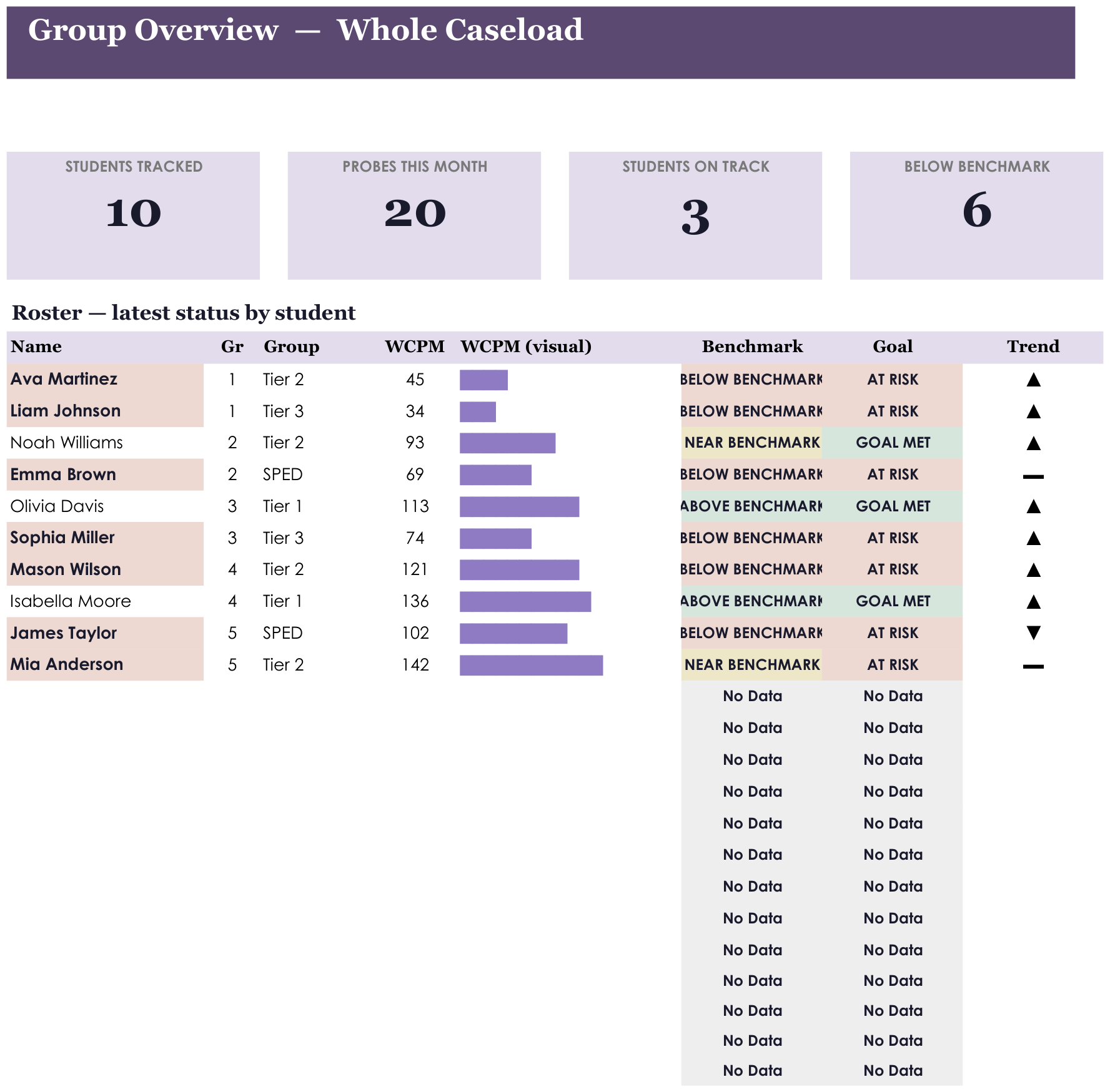 Reading Fluency Tracker screenshot