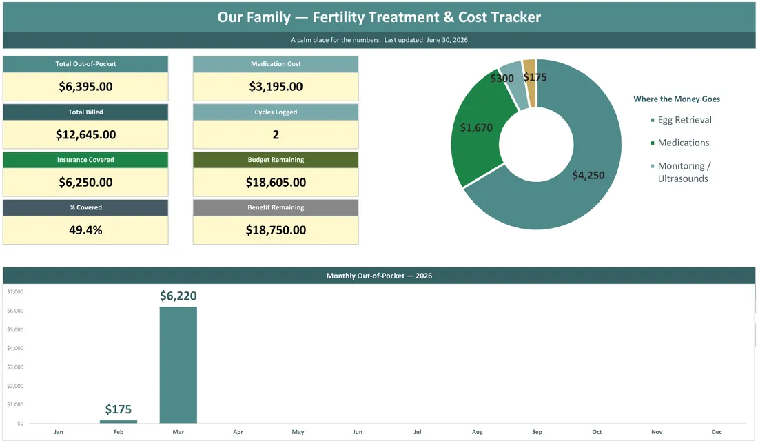 IVF & Fertility Cost Tracker — the workbook open in Excel