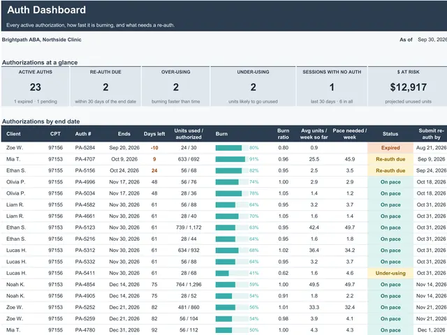 ABA Authorization Tracker preview