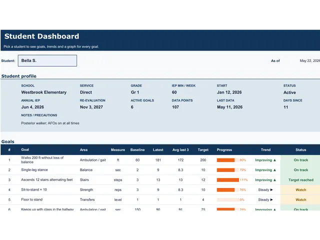 Gross Motor Data Tracker for School PT preview