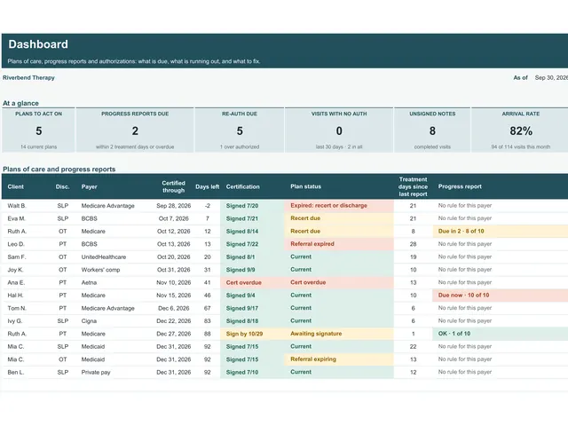 Outpatient Therapy Authorization Tracker preview