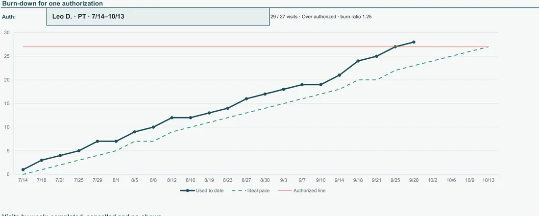 Outpatient Therapy Authorization Tracker screenshot