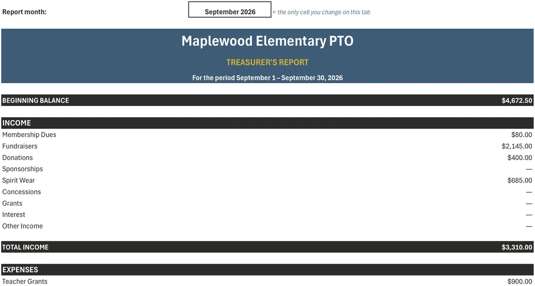 PTA and PTO Treasurer Spreadsheet screenshot