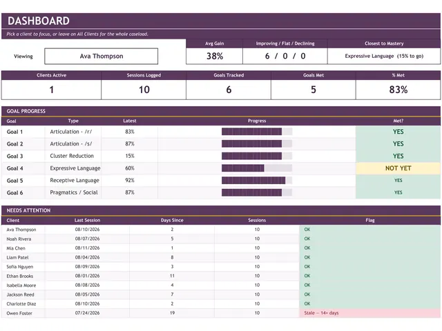 SLP Private Practice Tracker preview
