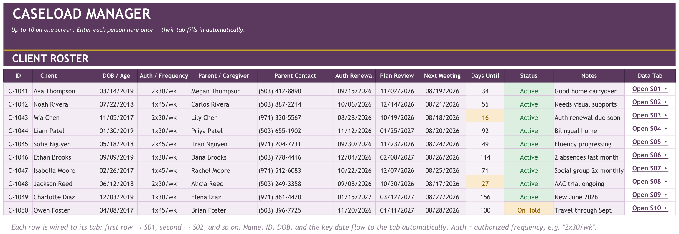 SLP Private Practice Tracker screenshot