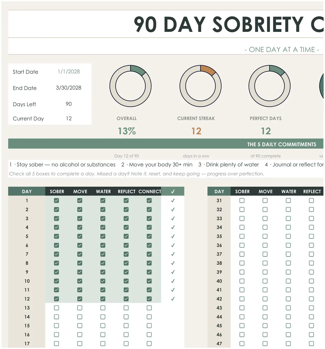 Sobriety Tracker and Dry January Challenge — the workbook open in Excel