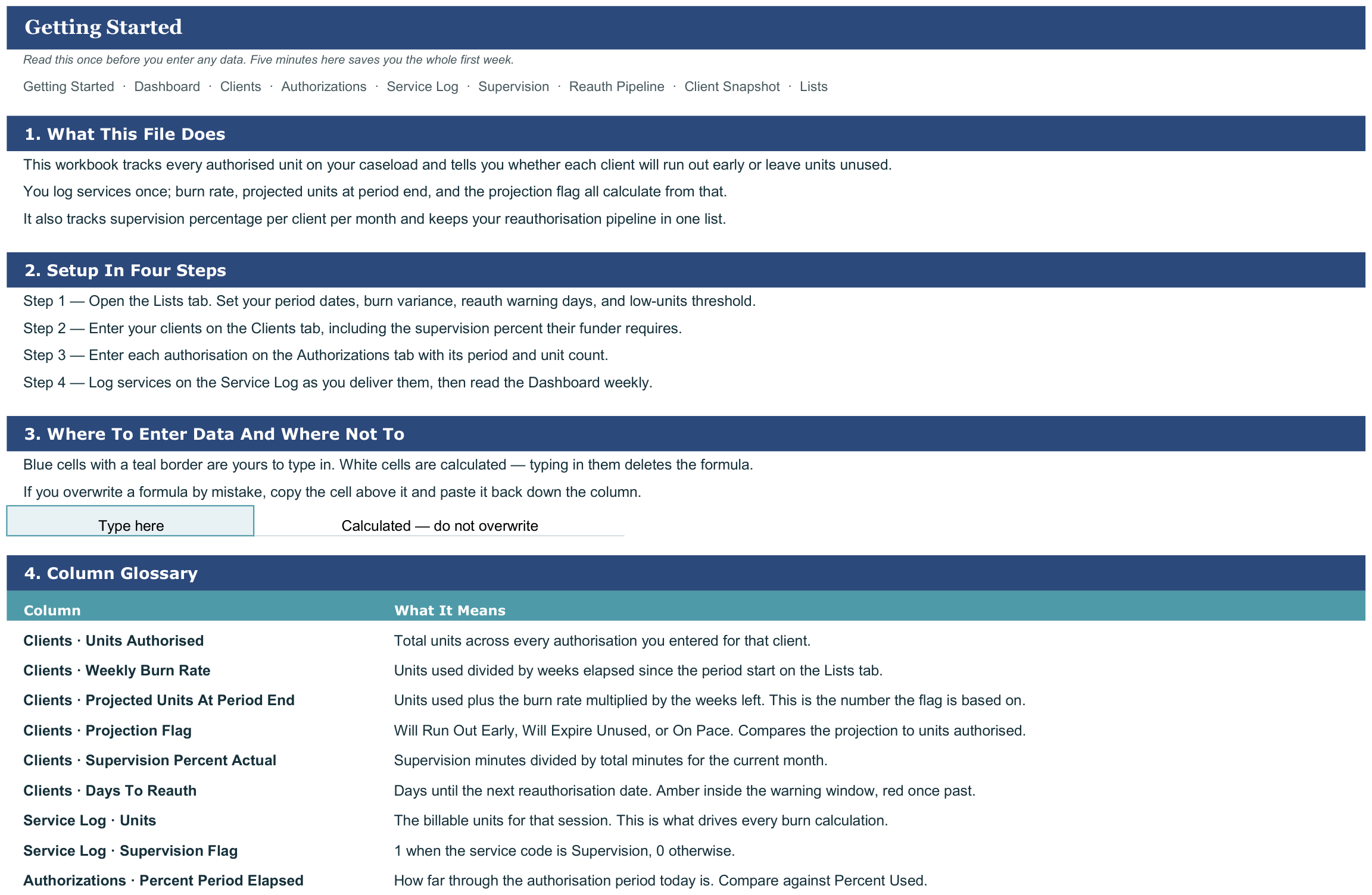 BCBA Caseload and Authorization Tracker screenshot