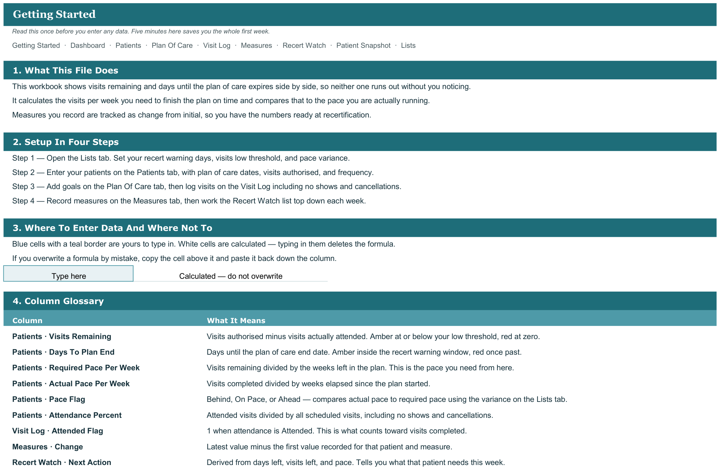 Physical Therapy Patient Progress and Outcome Tracker screenshot