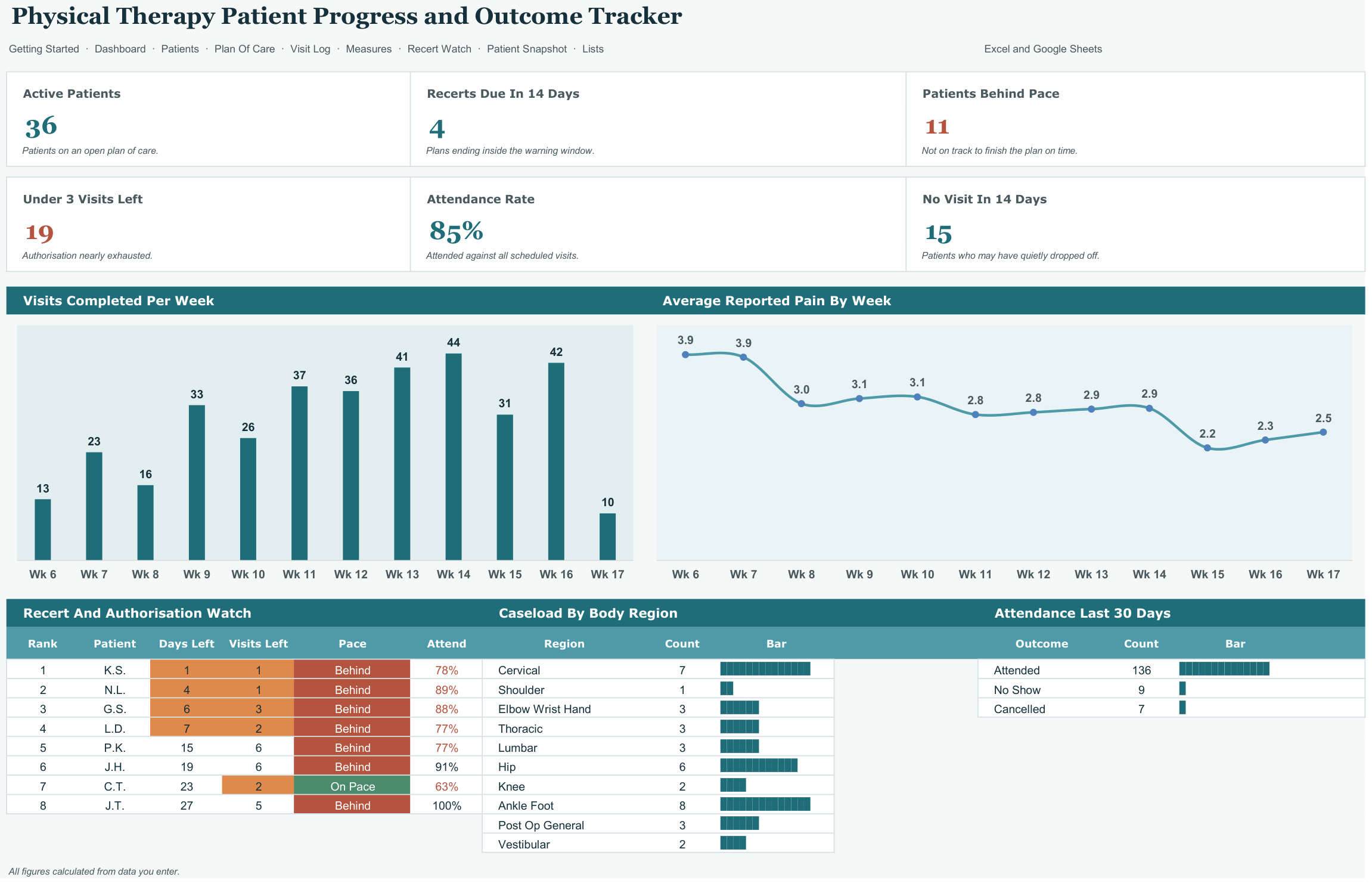 Physical Therapy Patient Progress and Outcome Tracker screenshot