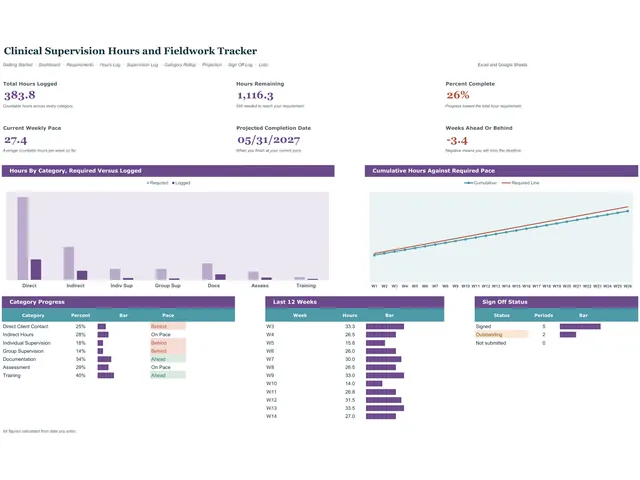 Clinical Supervision Hours and Fieldwork Tracker preview