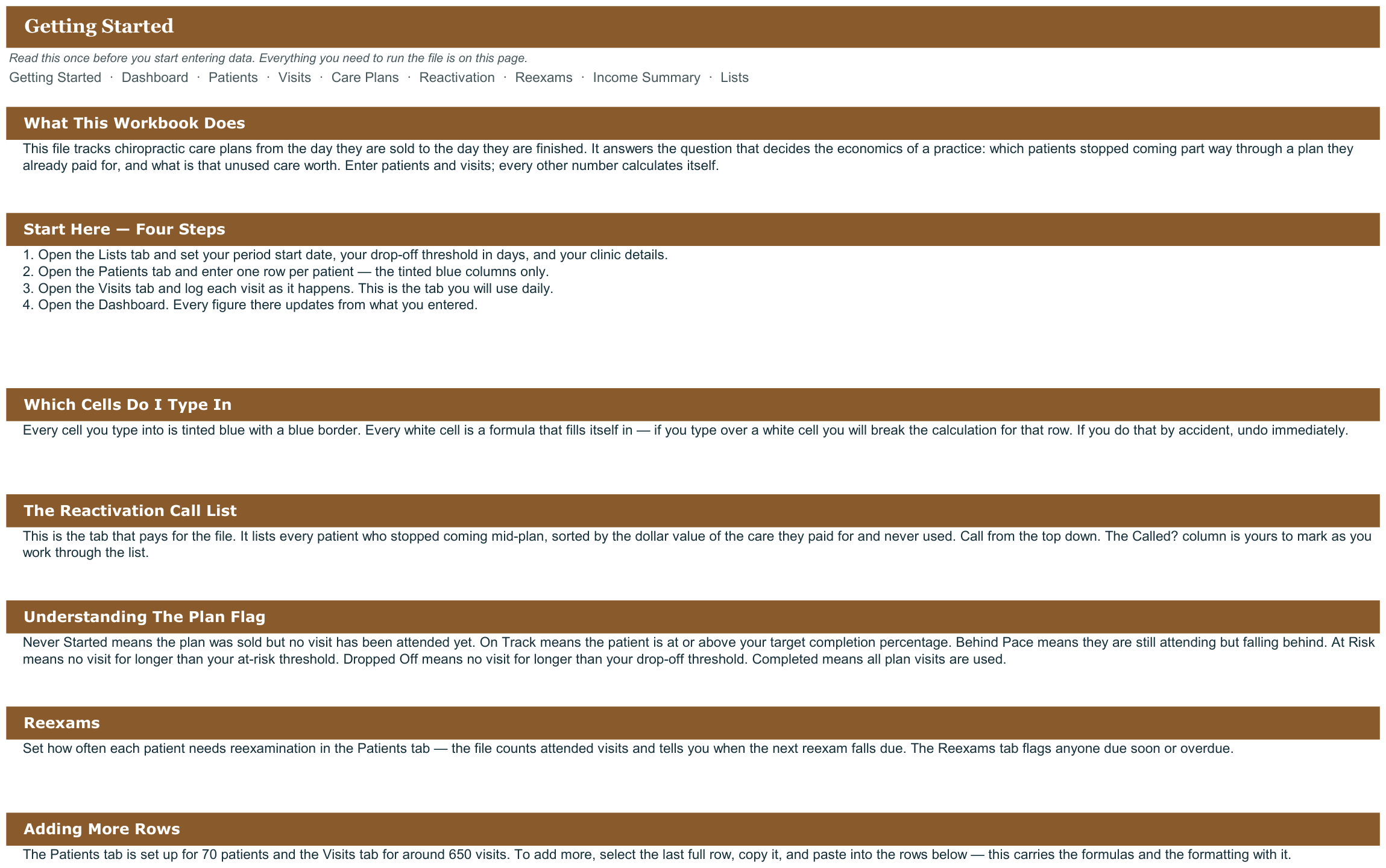 Chiropractic Patient Visit and Care Plan Tracker screenshot
