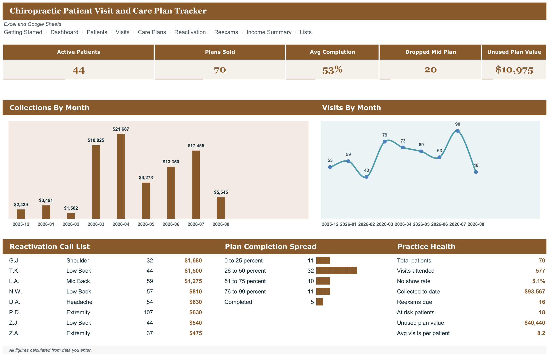 Chiropractic Patient Visit and Care Plan Tracker screenshot