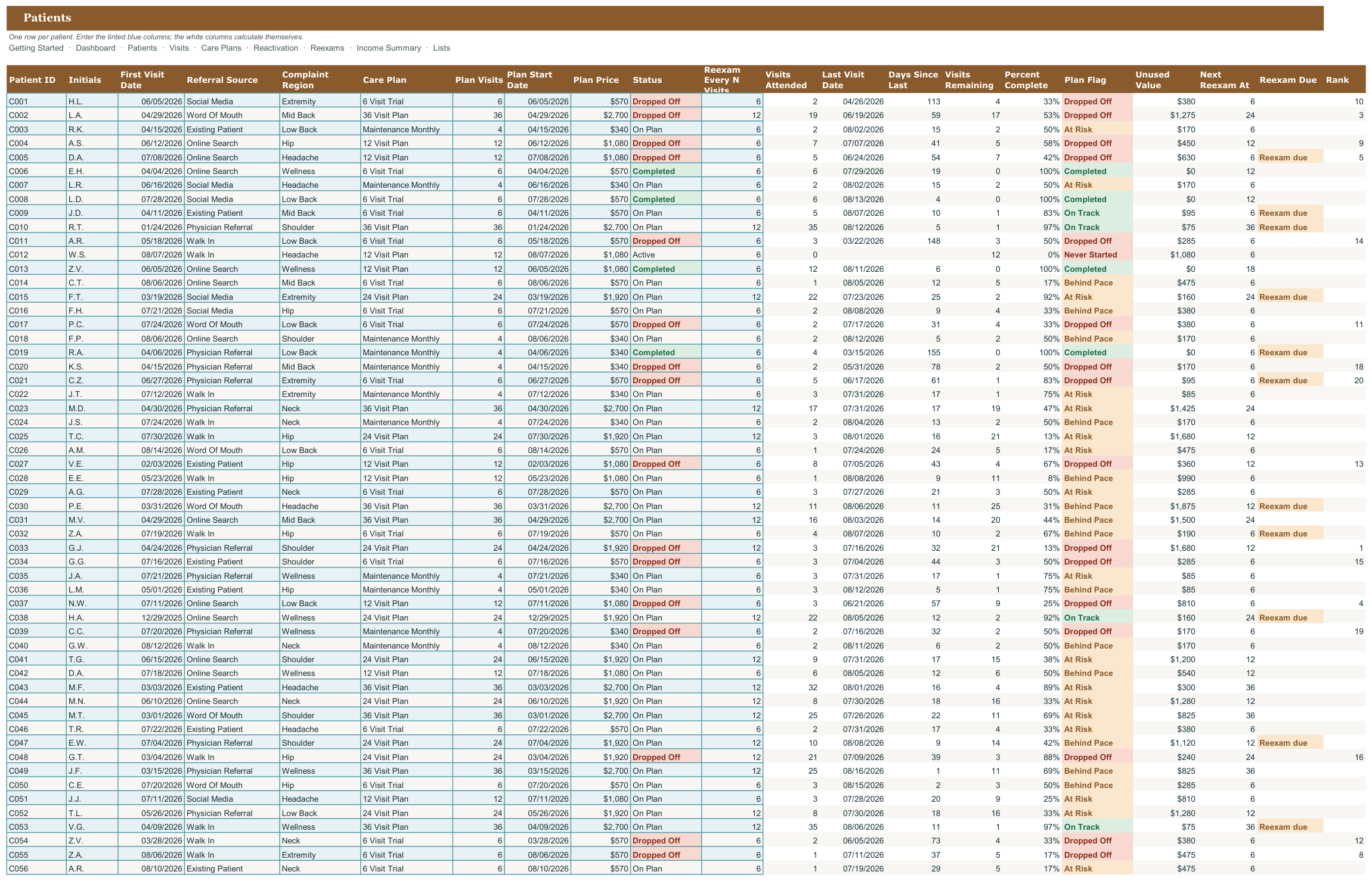 Chiropractic Patient Visit and Care Plan Tracker screenshot