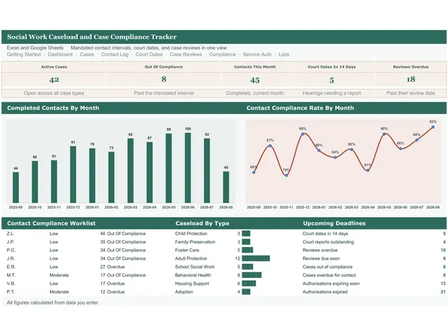 Social Work Caseload and Case Compliance Tracker preview